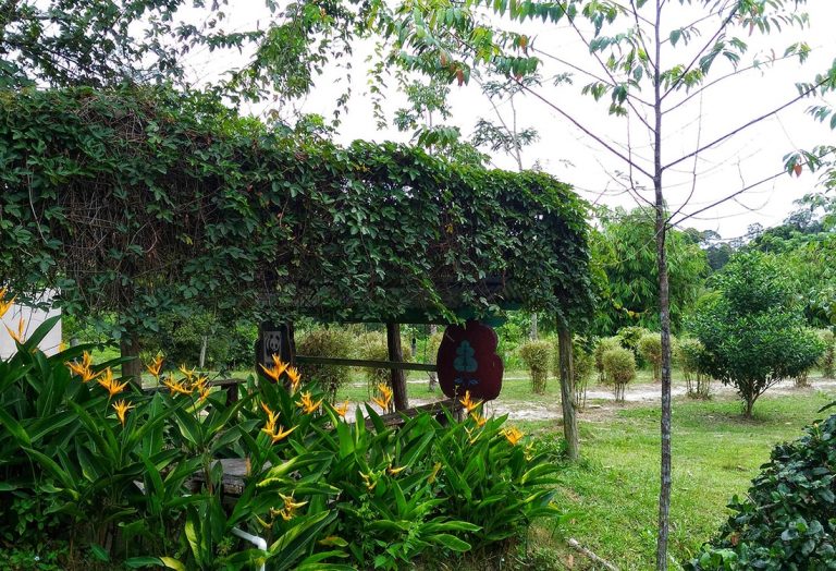 Pelalawan Botanical Gardens 768x524