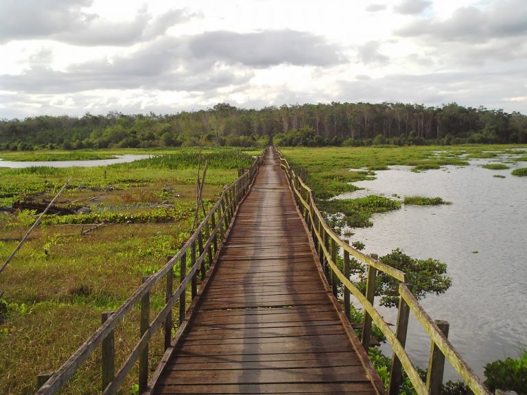 Balangan Botanical Gardens 768x576
