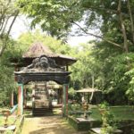 Sriwijaya Botanical Garden 1 150x150