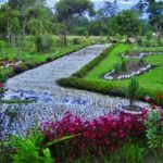 Wamena Biology Garden 150x150