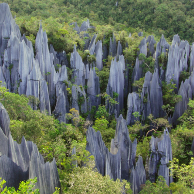 kayan mentarang Google Search 400x400